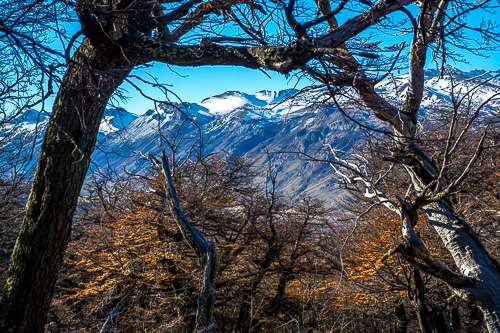 DSC_1750.jpg