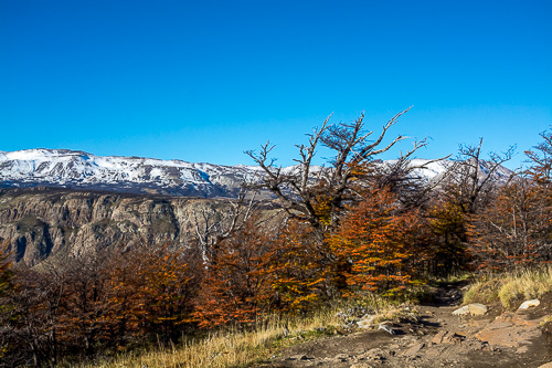 DSC_1754.jpg