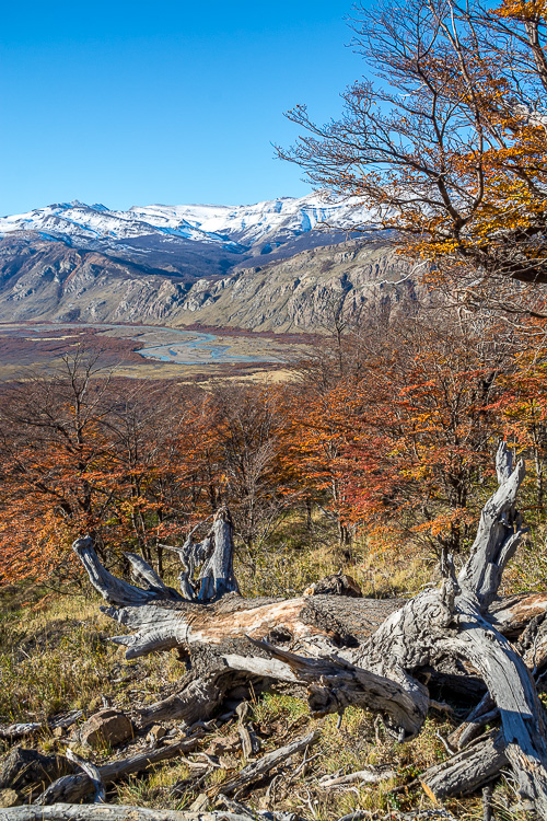 DSC_1756.jpg