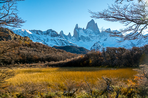 DSC_1771.jpg