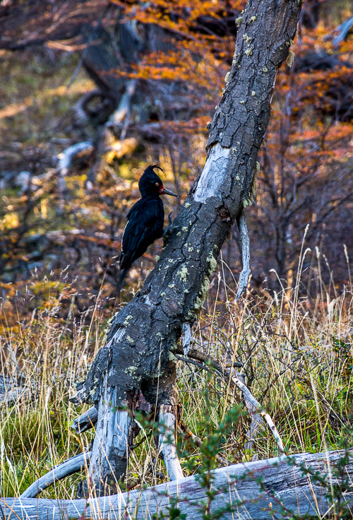 DSC_1786.jpg