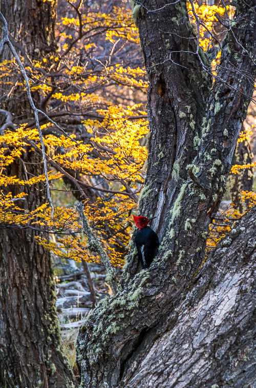 DSC_1787.jpg