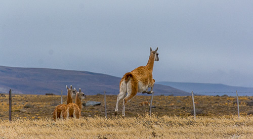 DSC_1846.jpg