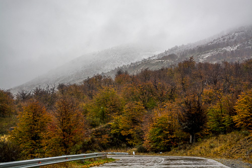 DSC_1866.jpg