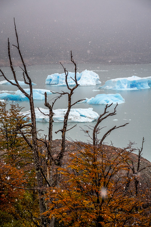 DSC_1875.jpg