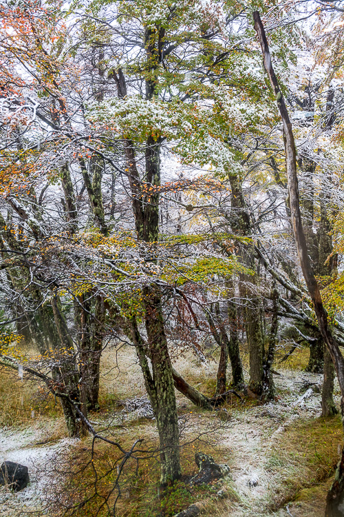 DSC_1912.jpg