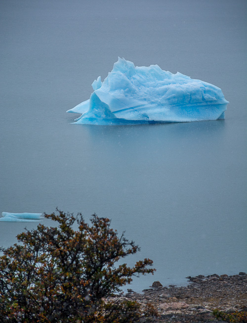 DSC_1918.jpg