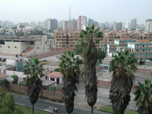 p5221376.jpg