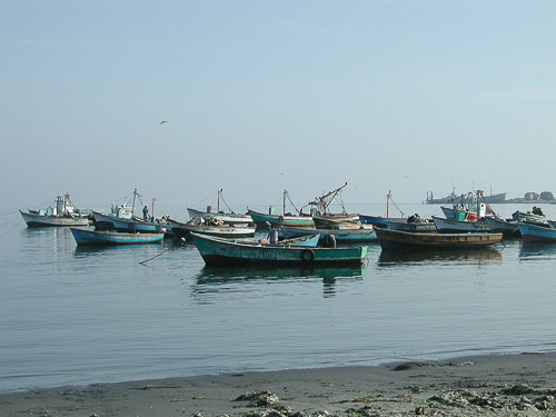 p5240046.jpg