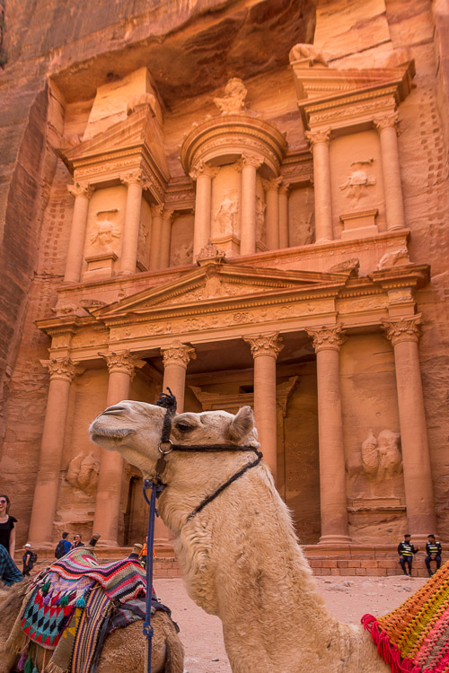 DSC_0626.jpg