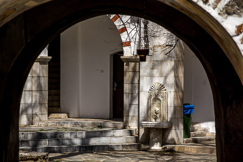 DSC_8783.jpg