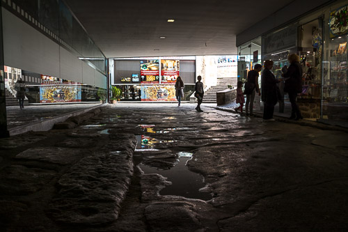 DSC_8899.jpg