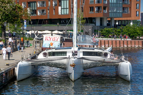 DSC_5374.jpg