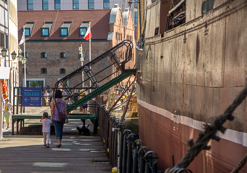 DSC_5386.jpg