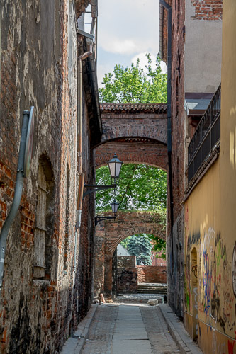 dsc_7113.jpg