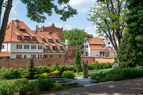 dsc_7135.jpg