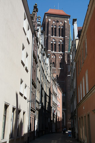 dsc_7245.jpg