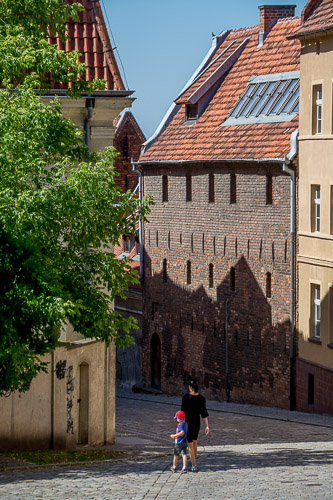 dsc_7376.jpg