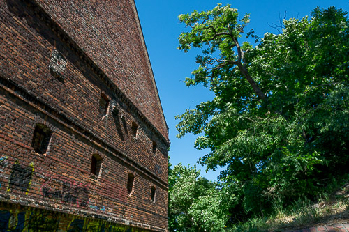 dsc_7379.jpg