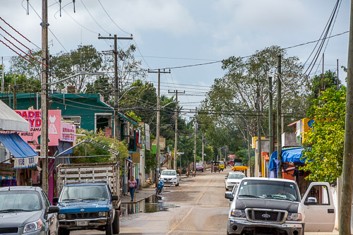 dsc_0050.jpg