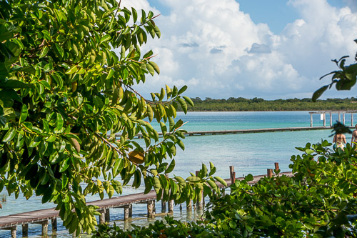 dsc_0052.jpg