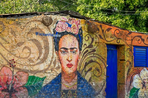 dsc_0102.jpg