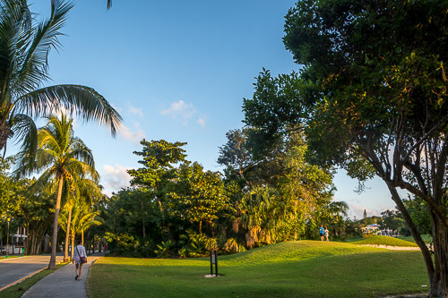 dsc_0333.jpg