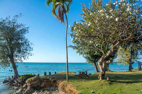 DSC_8503.jpg