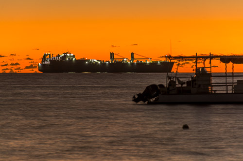 DSC_8525.jpg