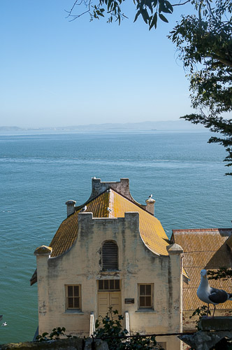 dsc_5515.jpg