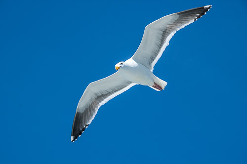 dsc_5581.jpg