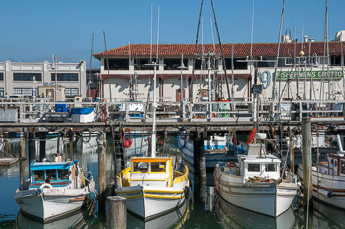 dsc_5665.jpg
