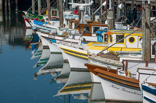 dsc_5666.jpg