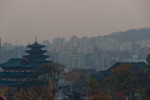 dsc_19887.jpg