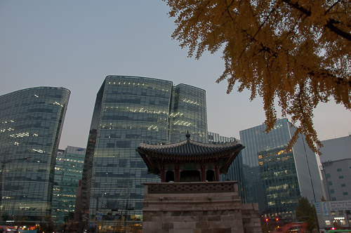 dsc_19898.jpg