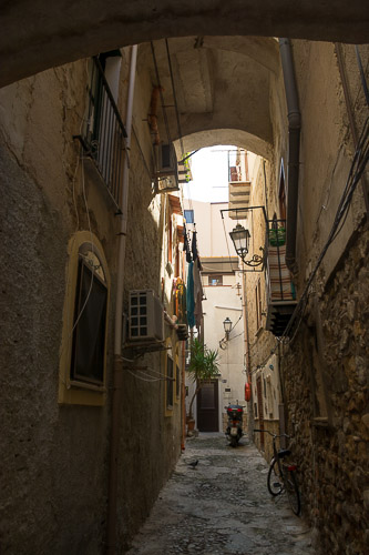 dsc_1601.jpg