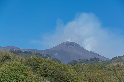 dsc_1897.jpg