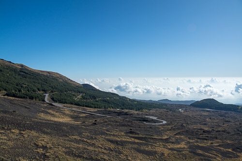 dsc_1906.jpg
