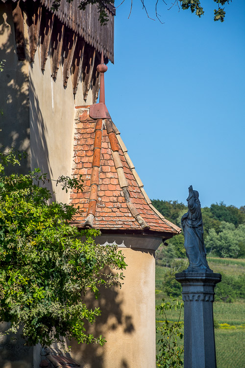 DSC_5146.jpg