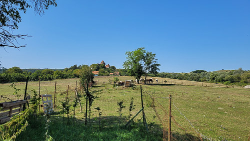 DSC_5309_20250816_113412.jpg