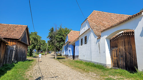 DSC_5322_20250816_115429.jpg