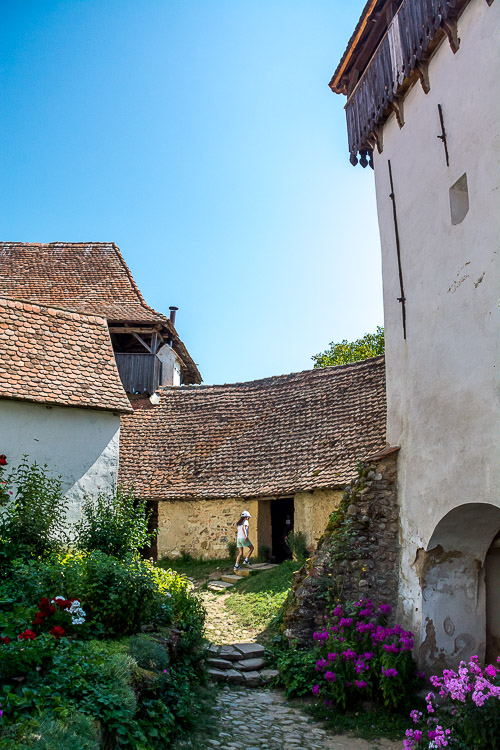 DSC_5357.jpg