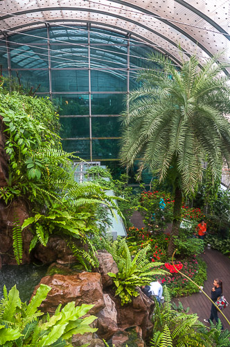 dsd_10005.jpg
