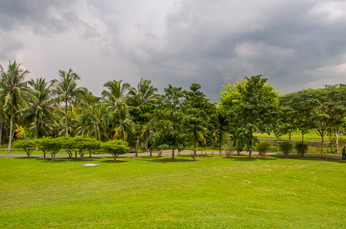 dsd_10008.jpg
