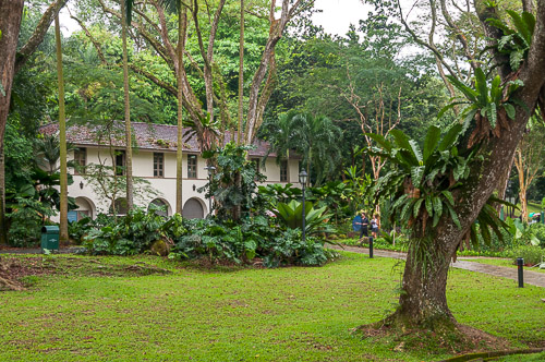 dsd_10013.jpg