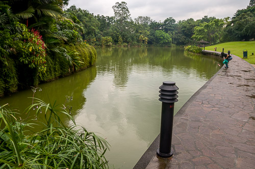 dsd_10017.jpg
