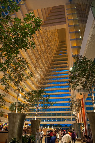 dsd_10058.jpg