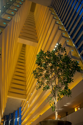 dsd_10059.jpg