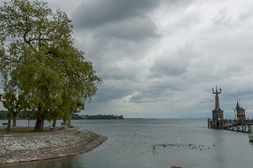 dsc_0174.jpg