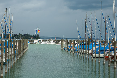 dsc_0231.jpg
